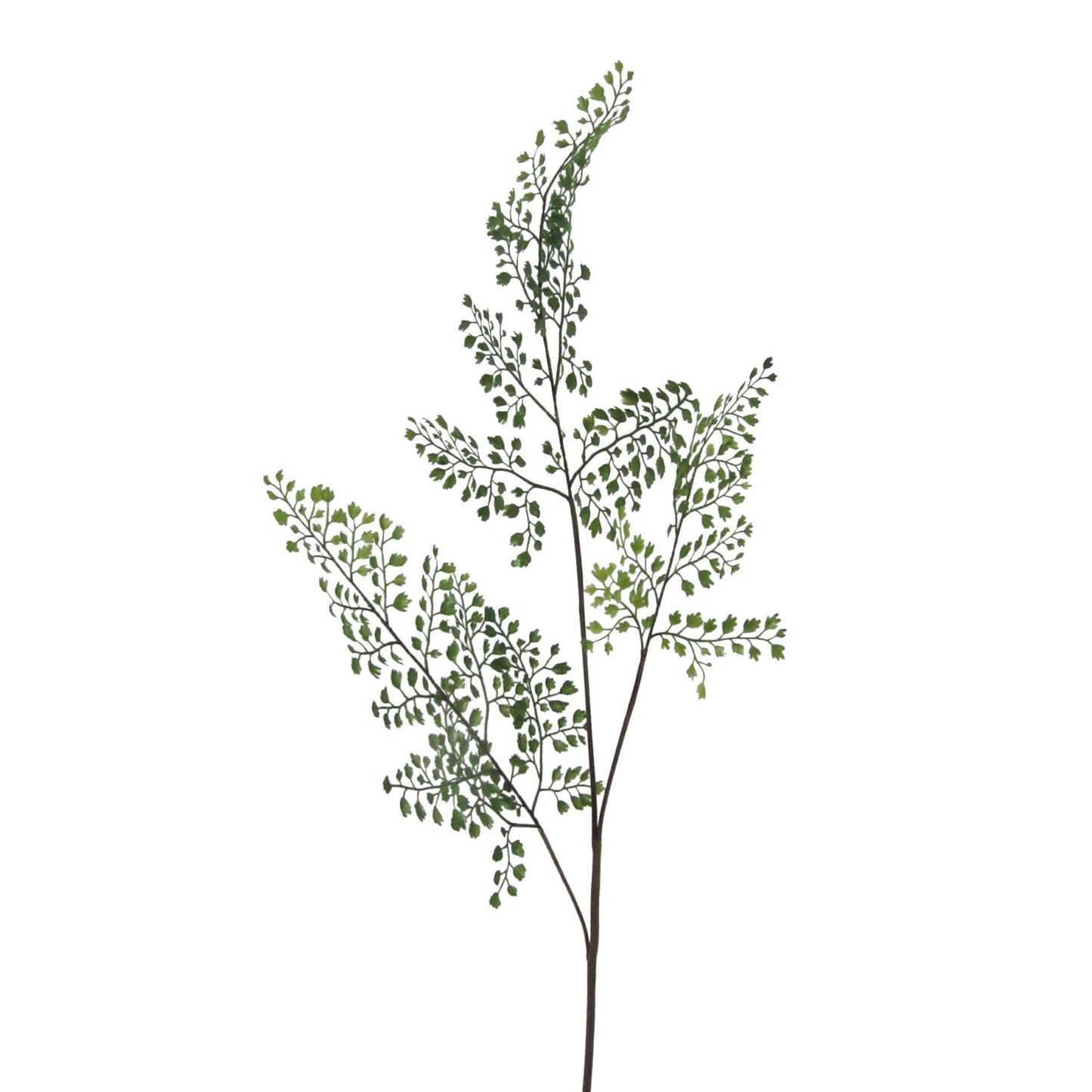 Kunstig Adiantum-gren – grøn