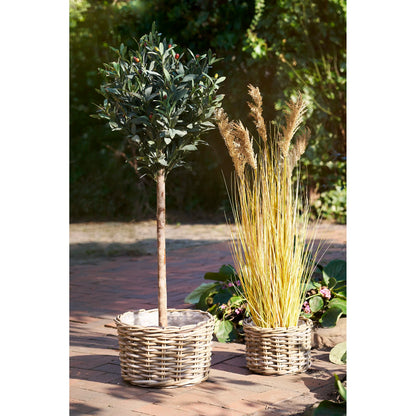 Kurve i kubu-rattan – 2 stk.