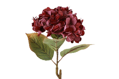 Hortensia i bordeaux – 64 cm