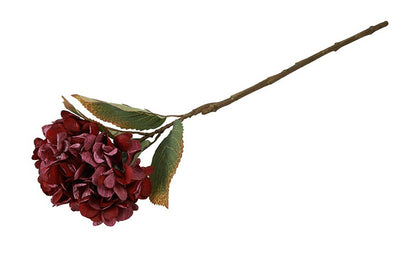 Hortensia i bordeaux – 64 cm