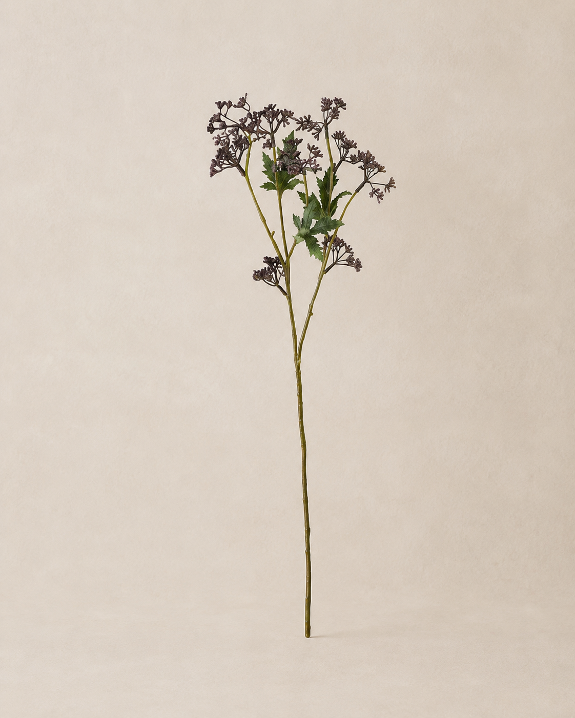 Meadow-gren – bordeaux