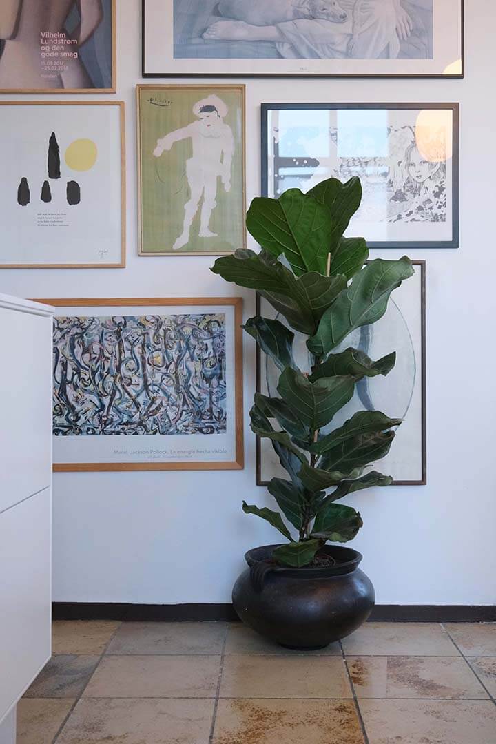 Botanic lerkrukke med håndtag L
