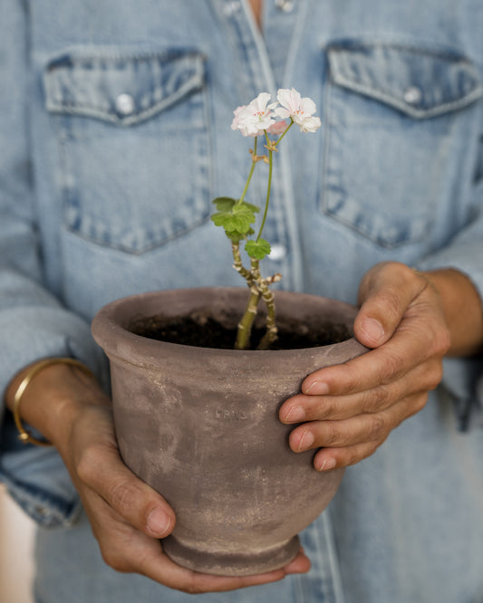 plantekrukke i terrakotta – 14 cm