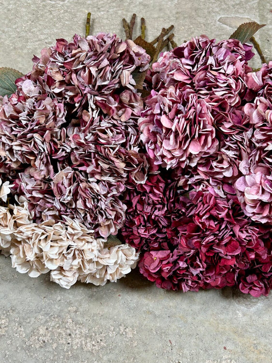 Hortensia i bordeaux – 64 cm