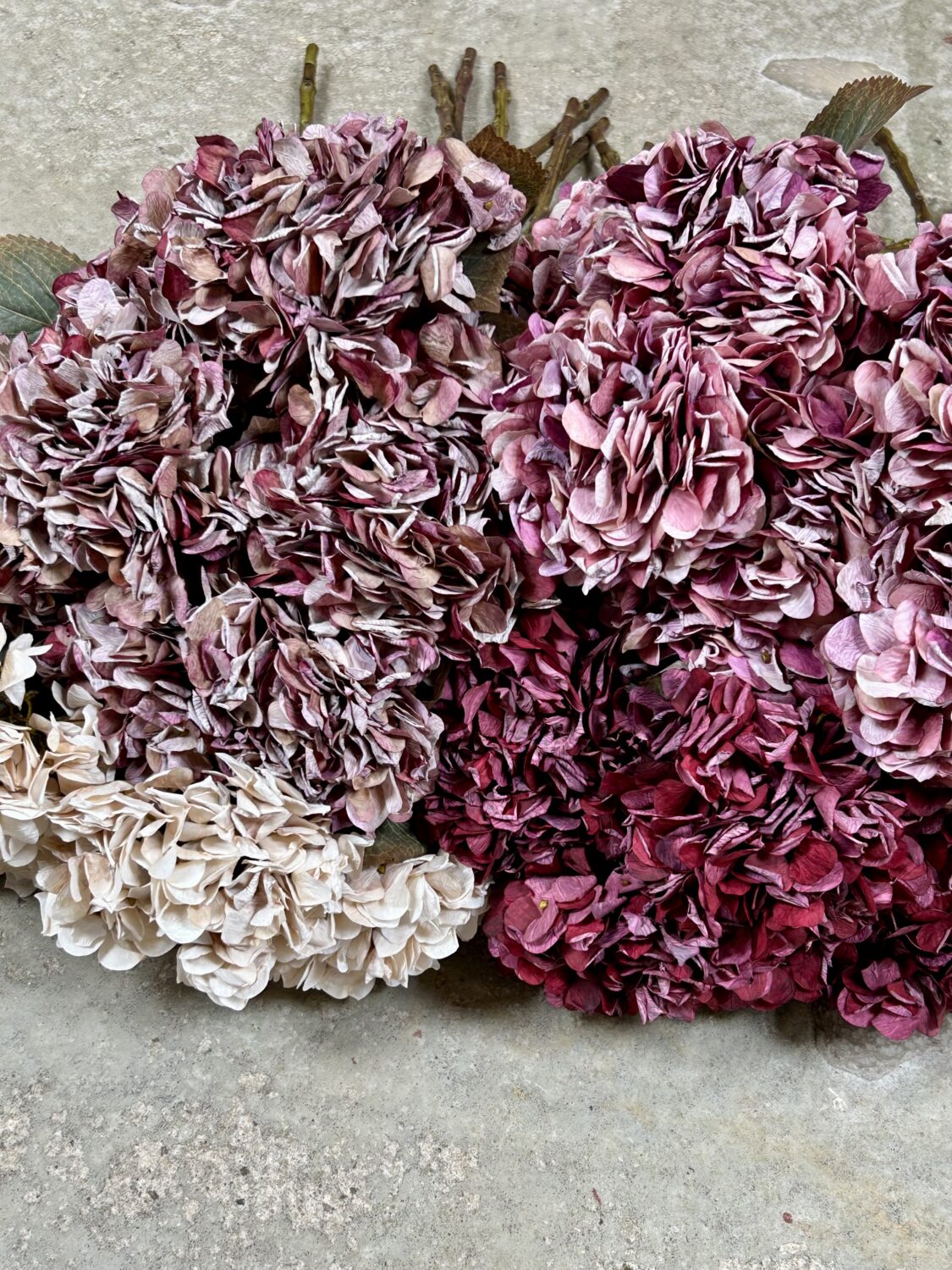 Kunstig hortensia i creme, 64 cm
