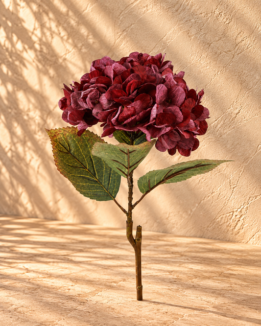 Hortensia i bordeaux – 64 cm